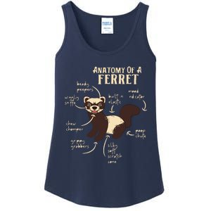 Ferret Anatomy Funny Animal Lover Polecat Paw Pet Owner Gift Ladies Essential Tank