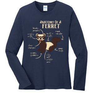 Ferret Anatomy Funny Animal Lover Polecat Paw Pet Owner Gift Ladies Long Sleeve Shirt