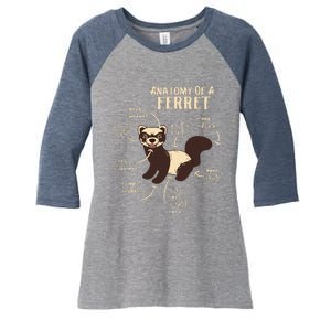 Ferret Anatomy Funny Animal Lover Polecat Paw Pet Owner Gift Women's Tri-Blend 3/4-Sleeve Raglan Shirt