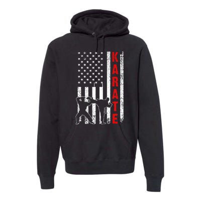 Funny American Flag Karate Premium Hoodie