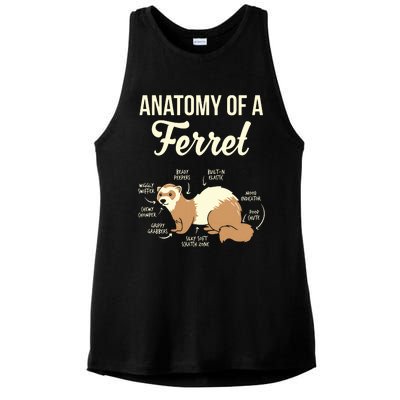 Ferret Anatomy Ladies PosiCharge Tri-Blend Wicking Tank