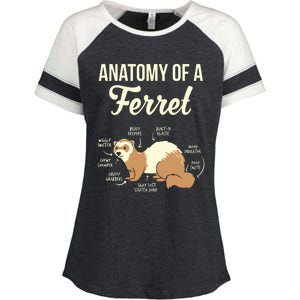 Ferret Anatomy Enza Ladies Jersey Colorblock Tee