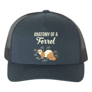 Ferret Anatomy Yupoong Adult 5-Panel Trucker Hat