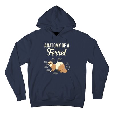 Ferret Anatomy Hoodie