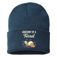 Ferret Anatomy Sustainable Knit Beanie