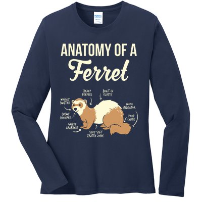 Ferret Anatomy Ladies Long Sleeve Shirt