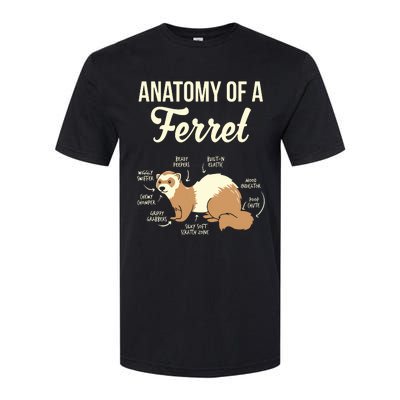 Ferret Anatomy Softstyle® CVC T-Shirt