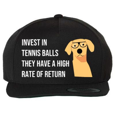 Funny Accountant Financial Advisor Finance Teacher CPA Wool Snapback Cap