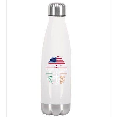 Funny American Grown With Irish Roots Ireland Gift Stainless Steel Insulated Water Bottle