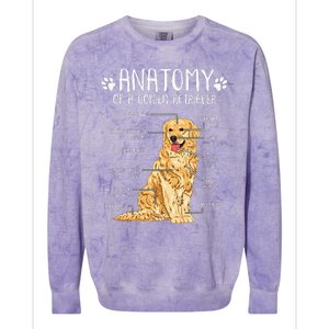 Funny Anatomy Golden Retriever Dog Lover Colorblast Crewneck Sweatshirt