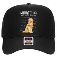 Funny Anatomy Golden Retriever Dog Lover High Crown Mesh Back Trucker Hat