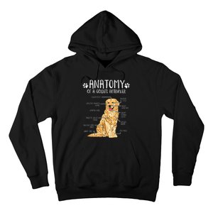 Funny Anatomy Golden Retriever Dog Lover Hoodie