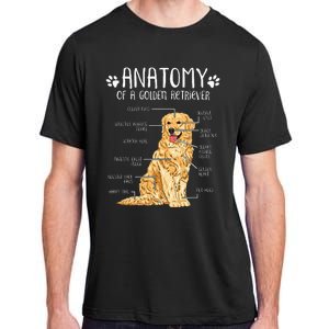 Funny Anatomy Golden Retriever Dog Lover Adult ChromaSoft Performance T-Shirt