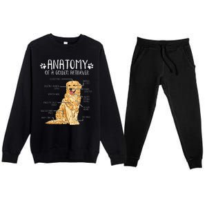 Funny Anatomy Golden Retriever Dog Lover Premium Crewneck Sweatsuit Set