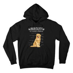 Funny Anatomy Golden Retriever Dog Lover Tall Hoodie