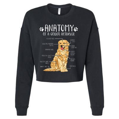 Funny Anatomy Golden Retriever Dog Lover Cropped Pullover Crew