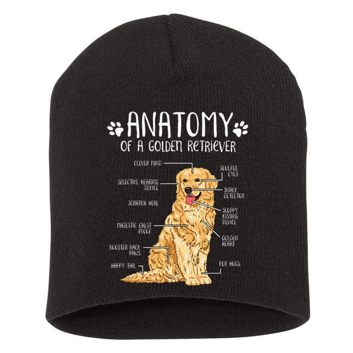 Funny Anatomy Golden Retriever Dog Lover Short Acrylic Beanie