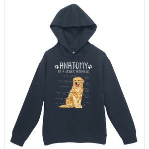 Funny Anatomy Golden Retriever Dog Lover Urban Pullover Hoodie