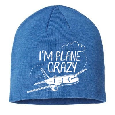 Funny Airplane Gift For Plane Lovers Plane Crazy Cute Gift Sustainable Beanie