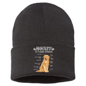 Funny Anatomy Golden Retriever Dog Lover Sustainable Knit Beanie