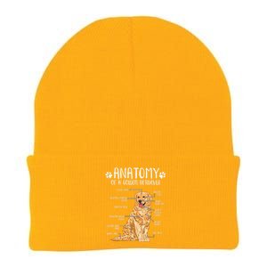 Funny Anatomy Golden Retriever Dog Lover Knit Cap Winter Beanie