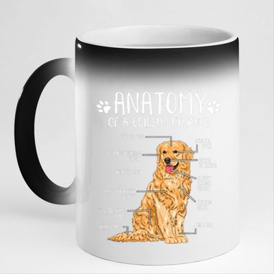 Funny Anatomy Golden Retriever Dog Lover 11oz Black Color Changing Mug