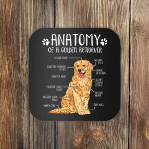 Funny Anatomy Golden Retriever Dog Lover Coaster