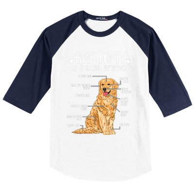 Funny Anatomy Golden Retriever Dog Lover Baseball Sleeve Shirt