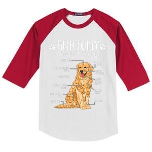 Funny Anatomy Golden Retriever Dog Lover Kids Colorblock Raglan Jersey