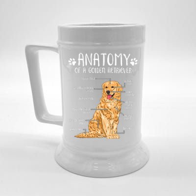 Funny Anatomy Golden Retriever Dog Lover Beer Stein