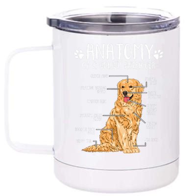 Funny Anatomy Golden Retriever Dog Lover 12 oz Stainless Steel Tumbler Cup