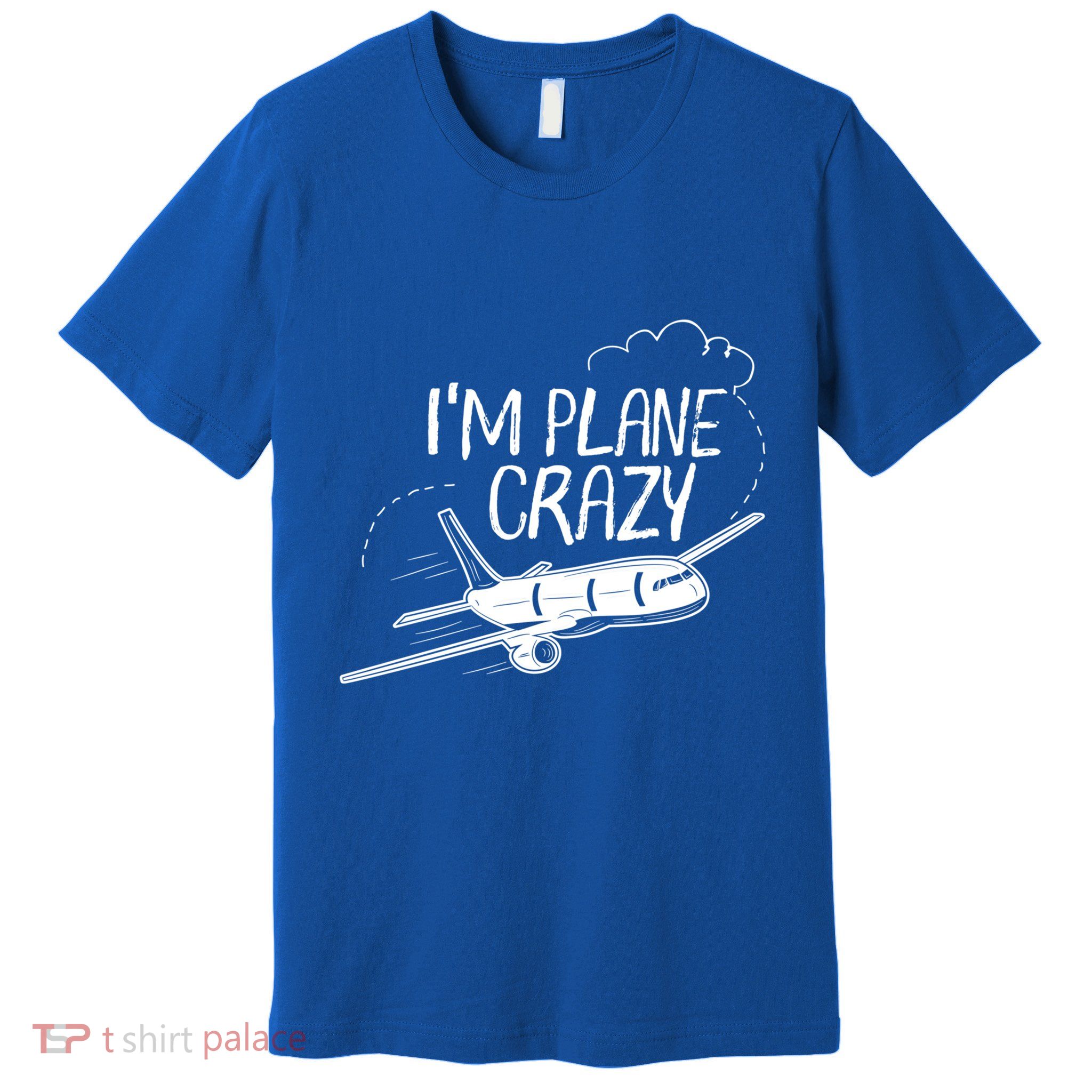 Funny Airplane Gift For Plane Lovers Plane Crazy Gift Premium T-Shirt