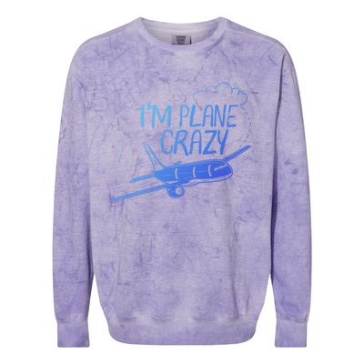 Funny Airplane Gift For Plane Lovers Plane Crazy Cute Gift Colorblast Crewneck Sweatshirt