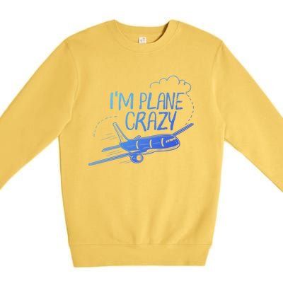 Funny Airplane Gift For Plane Lovers Plane Crazy Cute Gift Premium Crewneck Sweatshirt