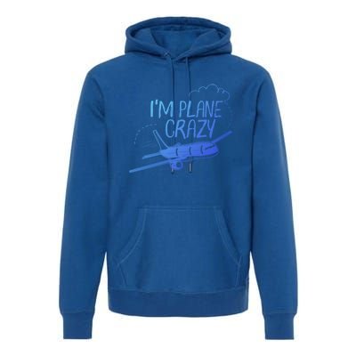 Funny Airplane Gift For Plane Lovers Plane Crazy Cute Gift Premium Hoodie