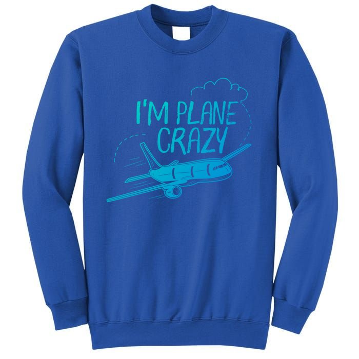 Funny Airplane Gift For Plane Lovers Plane Crazy Cute Gift Sweatshirt