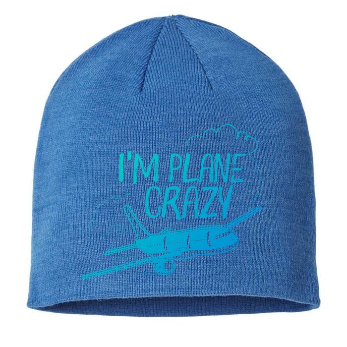 Funny Airplane Gift For Plane Lovers Plane Crazy Cute Gift Sustainable Beanie