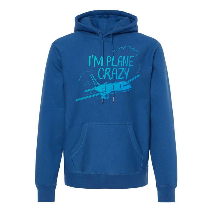 Funny Airplane Gift For Plane Lovers Plane Crazy Cute Gift Premium Hoodie