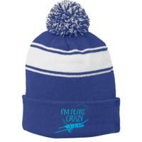 Funny Airplane Gift For Plane Lovers Plane Crazy Cute Gift Stripe Pom Pom Beanie