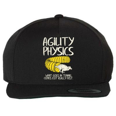 Funny Agility Gift For A Dog Trainer Or Dog Handler Gift Wool Snapback Cap