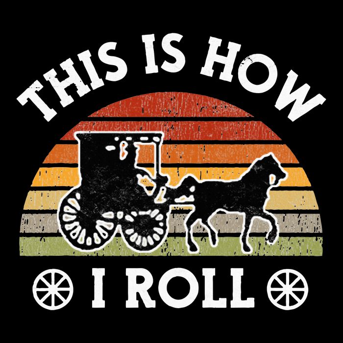 Funny Amish Horse & Buggy This Is How I Roll Lancaster Pa. 16 in Basic Backpack