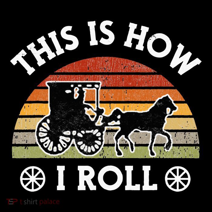 Funny Amish Horse & Buggy This Is How I Roll Lancaster Pa. Wool Snapback Cap