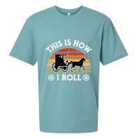 Funny Amish Horse & Buggy This Is How I Roll Lancaster Pa. Sueded Cloud Jersey T-Shirt