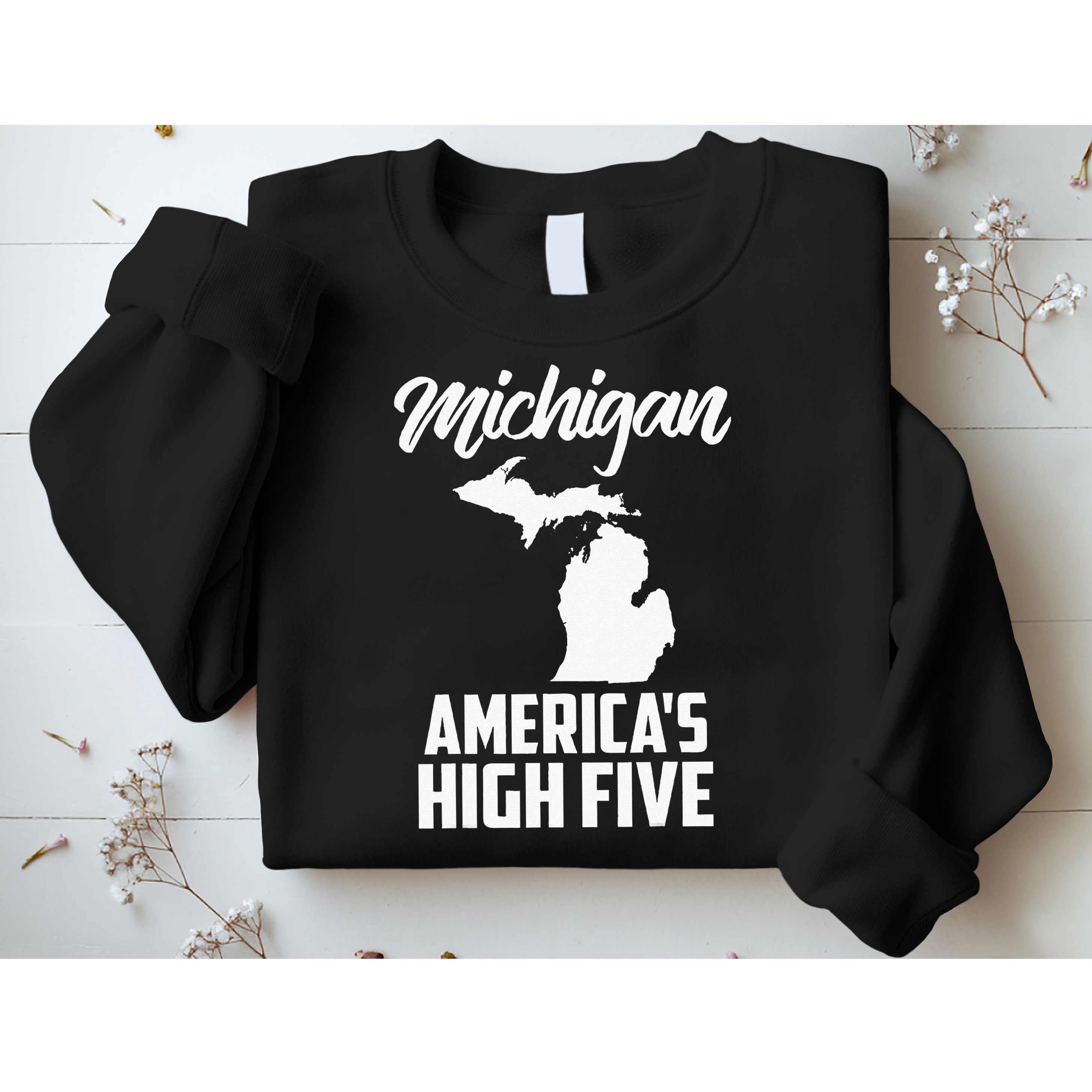 Funny Americas High Five State Of Michigan Gift Men Women Sweatshirt