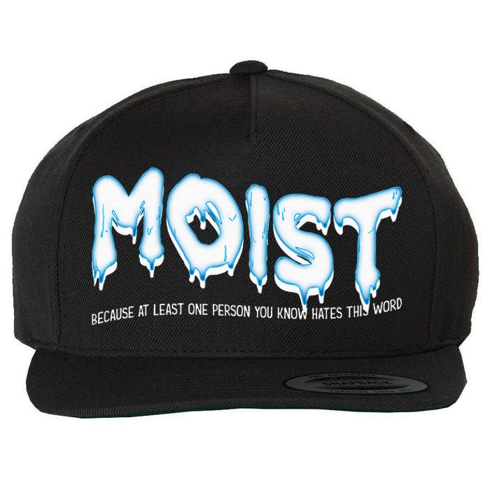 Funny Adult Humor Moist Wool Snapback Cap