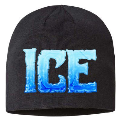 Fire And Ice Funny DIY Group Couples Halloween Costume Ice Sustainable Beanie