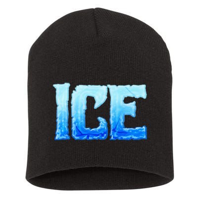 Fire And Ice Funny DIY Group Couples Halloween Costume Ice Short Acrylic Beanie