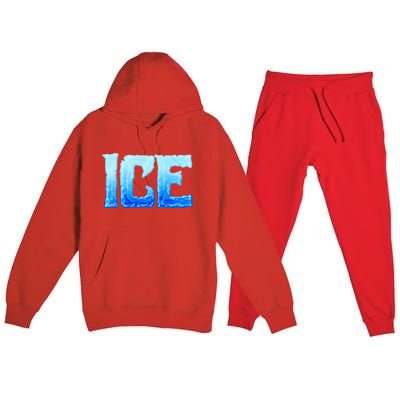 Fire And Ice Funny DIY Group Couples Halloween Costume Ice Premium Hooded Sweatsuit Set