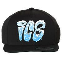 Fire And Ice Costume Halloween Family Matching Ice And Baby Wool Snapback Cap