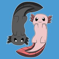 Funny Axolotl  I Yin Yang Reptile  Tie Dye Hoodie